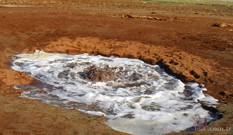 En son 2016'da görülmüştü yeniden ortaya çıktı! Tedirgin eden görüntüler: Uzmanından açıklama 8