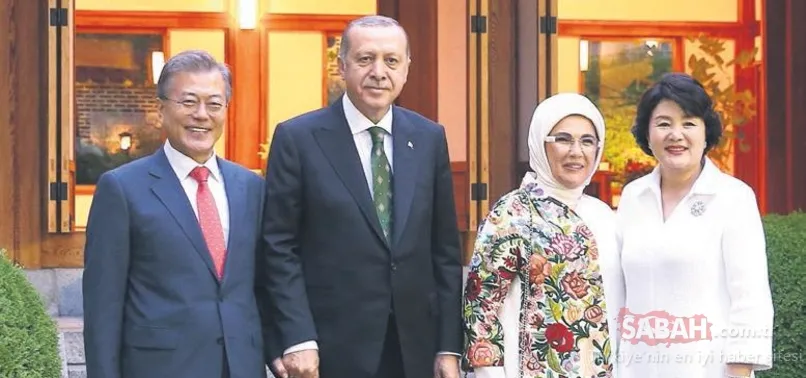 Asya Kaplanı’na çılgın proje daveti