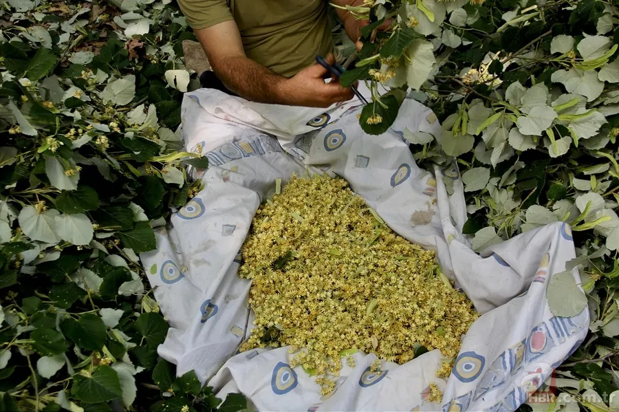 Şifası 1 tatlı kaşığında saklı: Bal ekleyince boğaz ağrısını geçiriyor 8