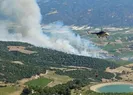 Manisada maki yangını ormana sıçradı