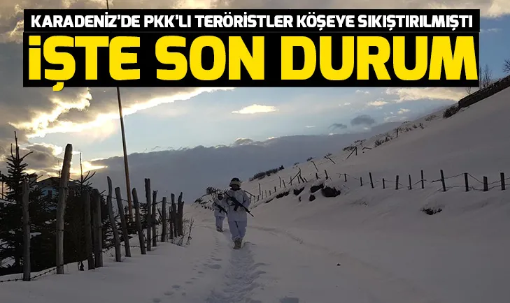 İstihbarat raporları ortaya koydu! Karadenizde PKKya büyük darbe
