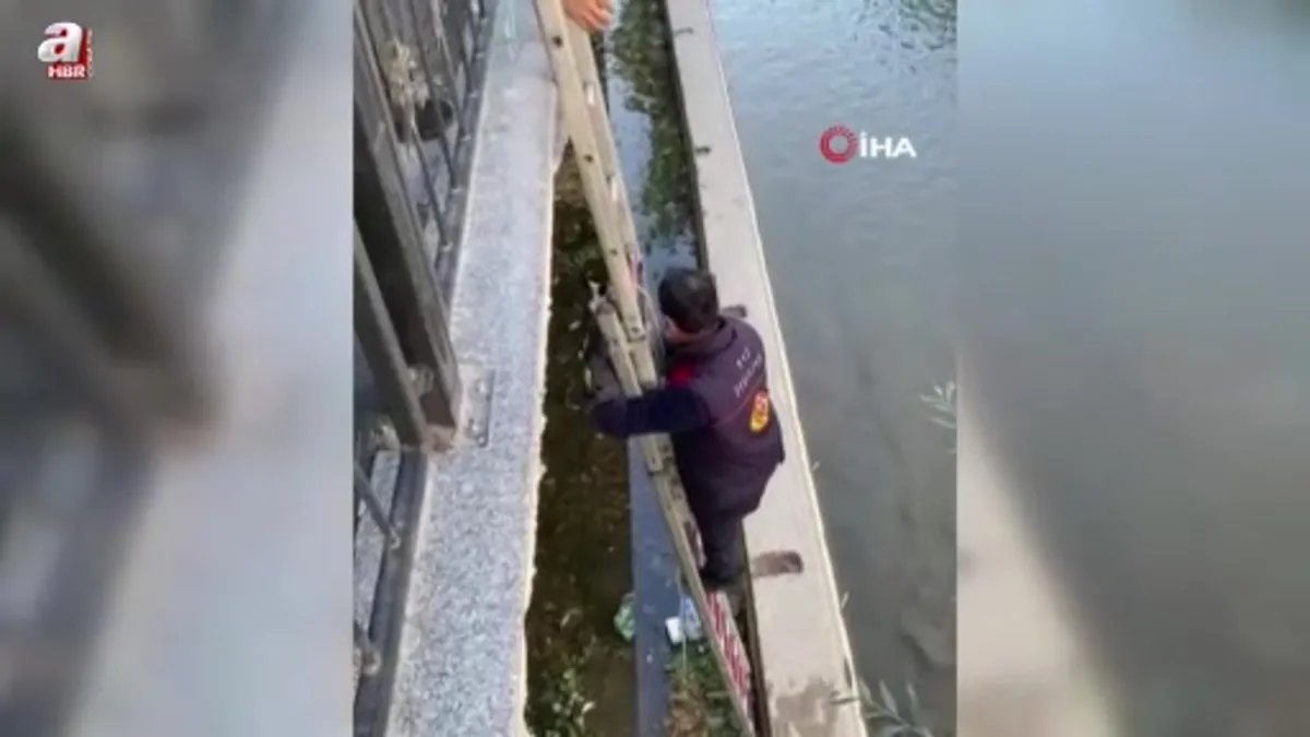 Gümüşhane’de çaya düşen yavru kediyi itfaiye ekipleri kurtardı