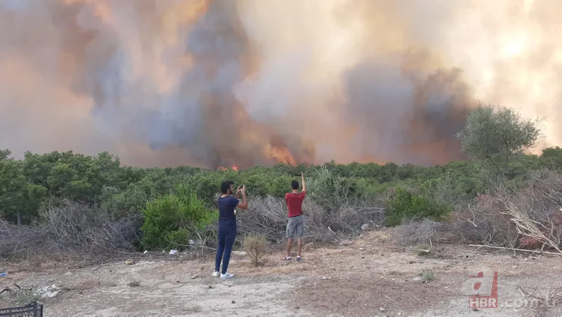 Son dakika: Antalya Manavgat'ta orman yangını! Alevler yerleşim yerlerine sıçradı 14