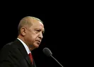 Başkan Erdoğandan Wilders hakkında suç duyurusu