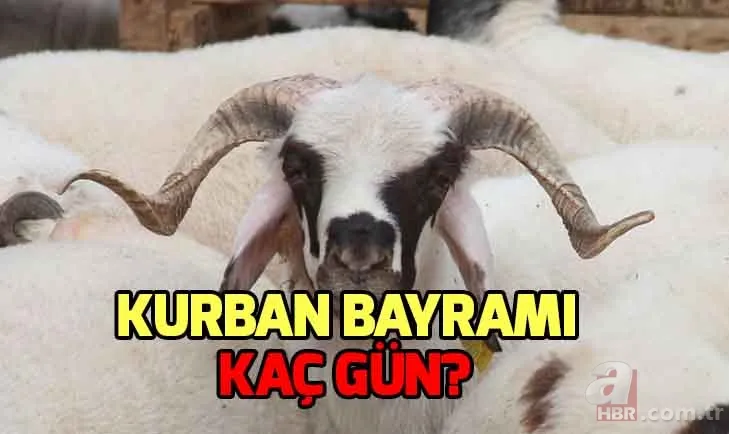 Kurban Bayramı ne zaman? Kurban Bayramı tatili kaç gün? 1