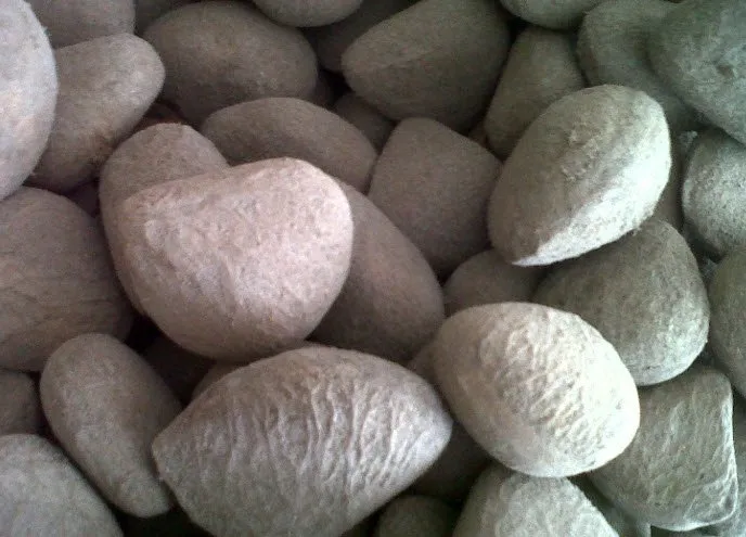 Dikkat! Bu patates ölüme neden oluyor
