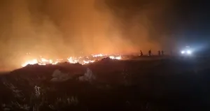 Niğde’de büyük mera yangını!