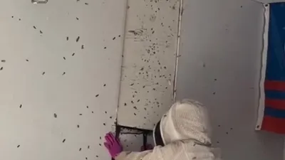 Duvarın arkasından çıkanlar şoke etti!