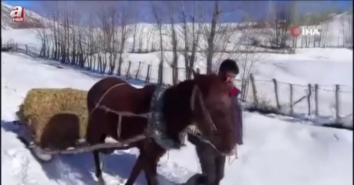 Besicilerin kar altında zorlu mesaisi