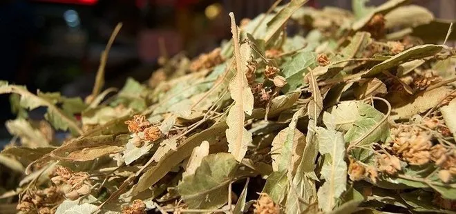 Kışın vazgeçilmezi ıhlamur fiyatını ikiye katladı