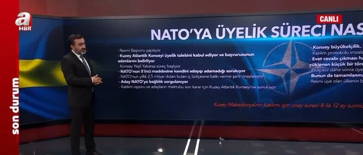 NATO’ya üyelik süreci nasıl işliyor? Türkiye veto ederse ne olur?