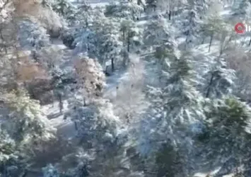 Afyonkarahisar'da kar manzaraları kamerada