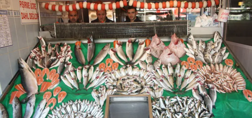 Balık bollaştı, fiyatlar düştü