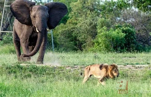 Bilim insanları geliştirdi! Artık uzaydan sayılabilecekler