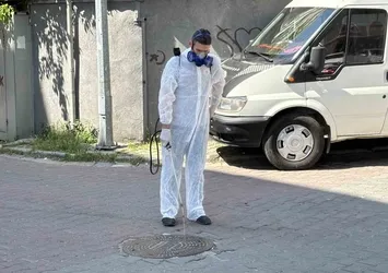 Kağıthane'de yaz boyu haşerelere geçit yok