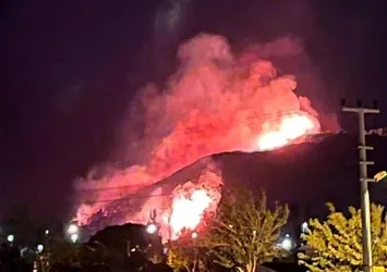 İzmir'de korkutan orman yangını