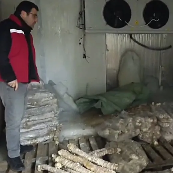 Vatandaşlara yedireceklerdi! Değeri 4 milyon lira olan bozulmuş kokoreçler imha edildi