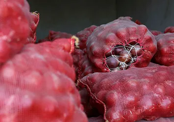 Soğanı depoda stok yapan 45 depoya denetim