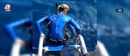 Denize girerken dehşeti yaşadı! Kaplan köpek balığı ile burun buruna gelip...