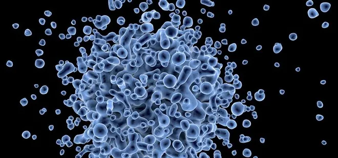 Demir eksikliği enfeksiyonlara davetiye çıkarıyor