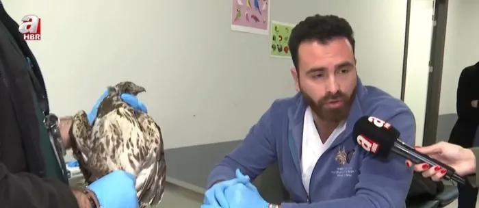 can-dostlarimiza-ozel-tam-donanimli-hastane-1737136313157.jpg A Haber ekran görüntüsü