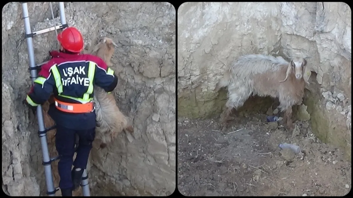Uşak'ta kuyuya düşen keçiyi itfaiye kurtardı