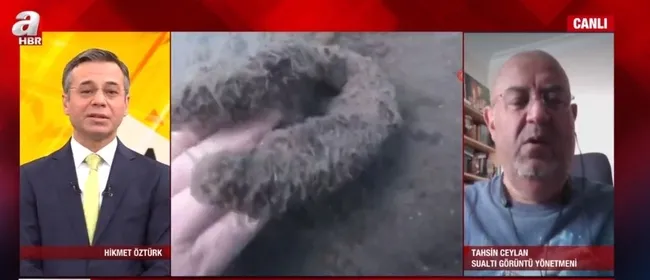 SON DAKİKA: Marmara Denizi müsilajla (deniz salyası) kaplandı! Uzmanlar uyardı: Midye yemeyin felç kalabilirsiniz-6