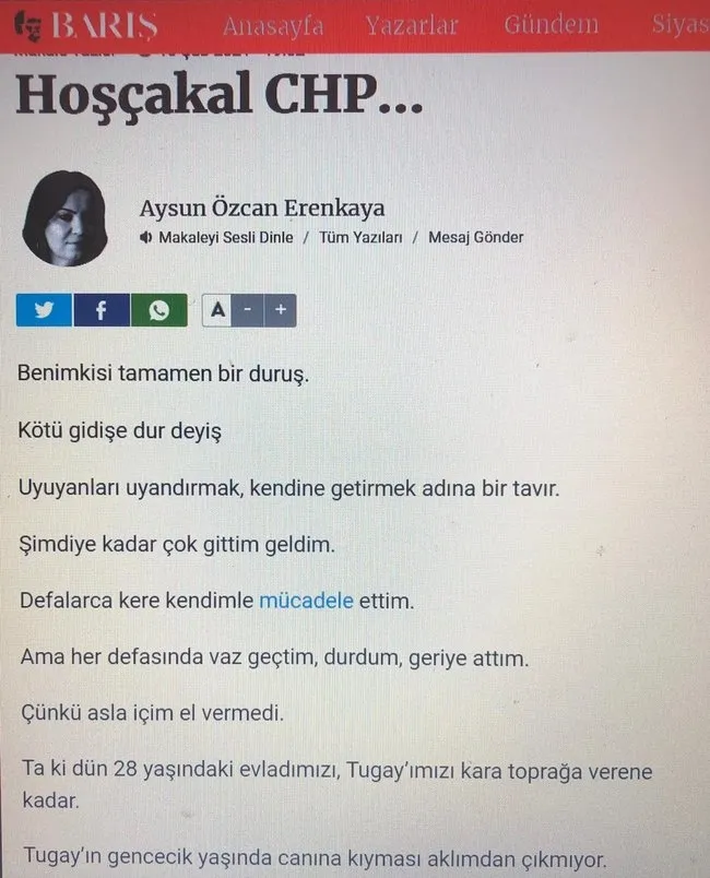 CHP'de Tugay Adak istifası! Aysun Özcan Erenkaya'dan zehir zemberek sözler: Alın partinizi başınıza çalın - 2