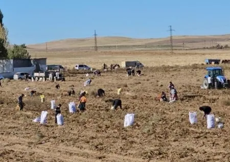 "Ücretsiz"i duyan torbasıyla koştu! Adeta akın ettiler