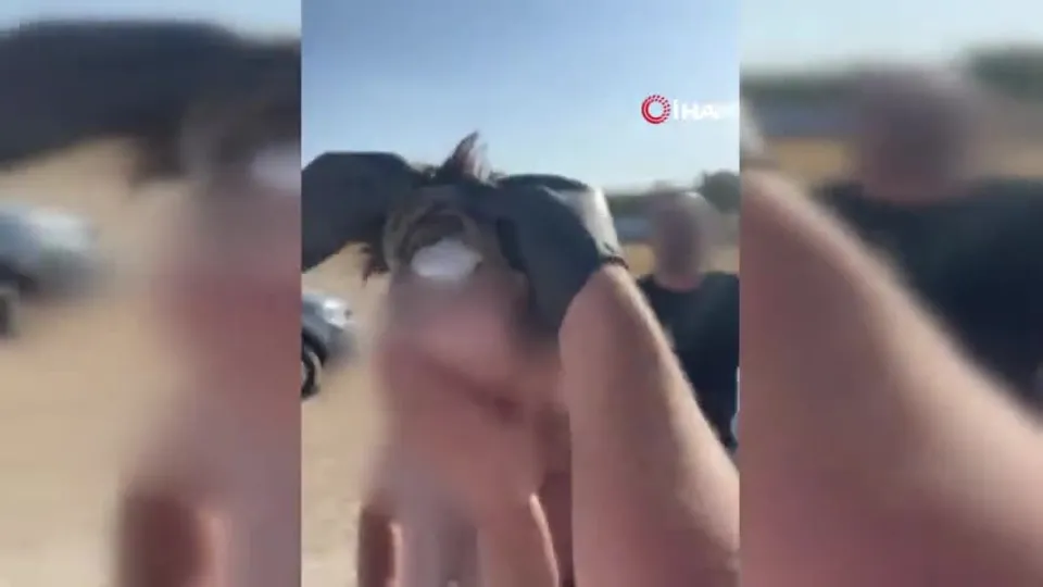 Protez saçtan uyuşturucu çıktı