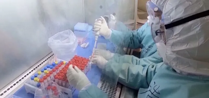 Koronavirüs kaynağı belli oldu! Laboratuvarda üretilip yarasalar üzerinden gizlenmeye çalışıldı!