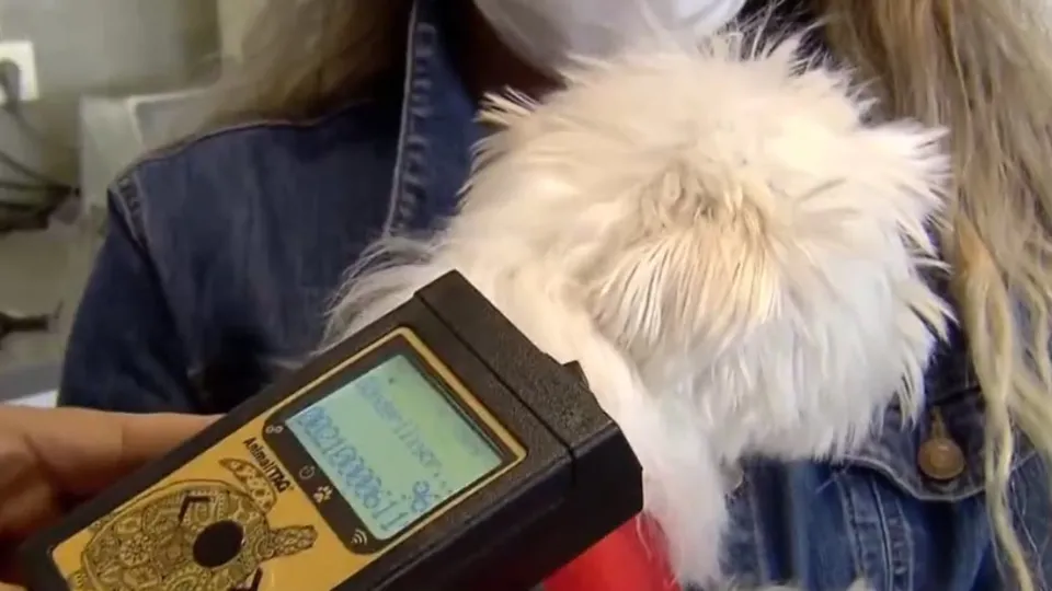 Mikroçip takma süresi uzatılabilir mi? Tarım ve Orman Bakanı Vahit Kirişci açıkladı