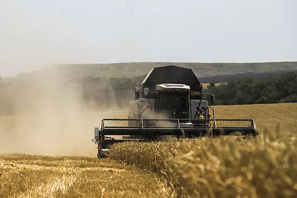 Dünyanın gözü Başkan Erdoğan'da! Tahıl koridoru meselesi nasıl çözülecek? ABD ve Alman basını umutlarını Türkiye'ye bağladı - 7