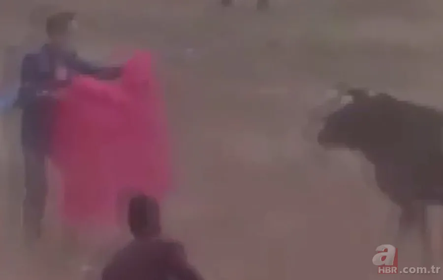 Kaçan boğa dehşet saçtı! Otoparka girip... 1