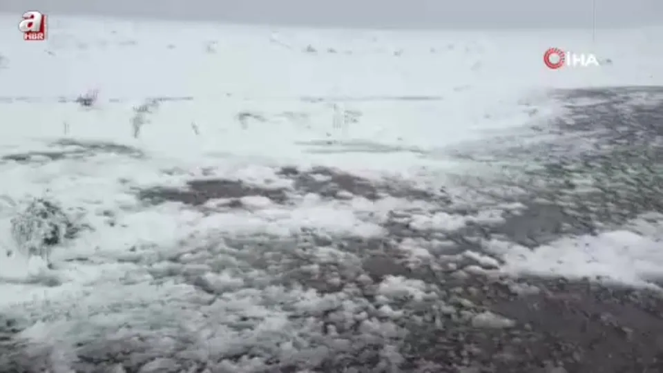 Posof’ta kar yağışı