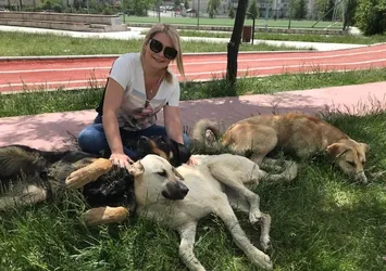 Köpekvelisi Buse Özgünlü'nün vurgunu MASAK raporunda!