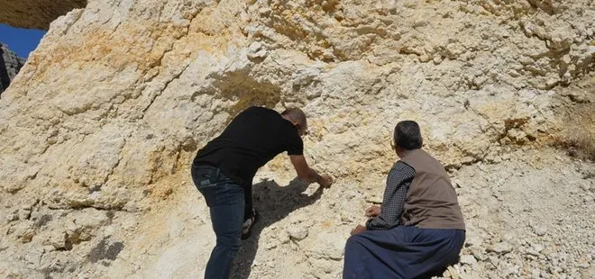 Mersin’de bulundu! 35 milyon yıllık keşif