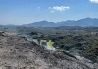 Muğla'da makilik alanda çıkan yangın söndürüldü