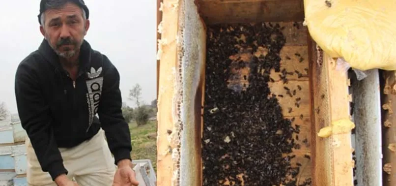 Böyle kin görülmedi!