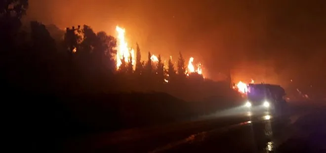 Son dakika: İzmir Menderes’te orman yangını