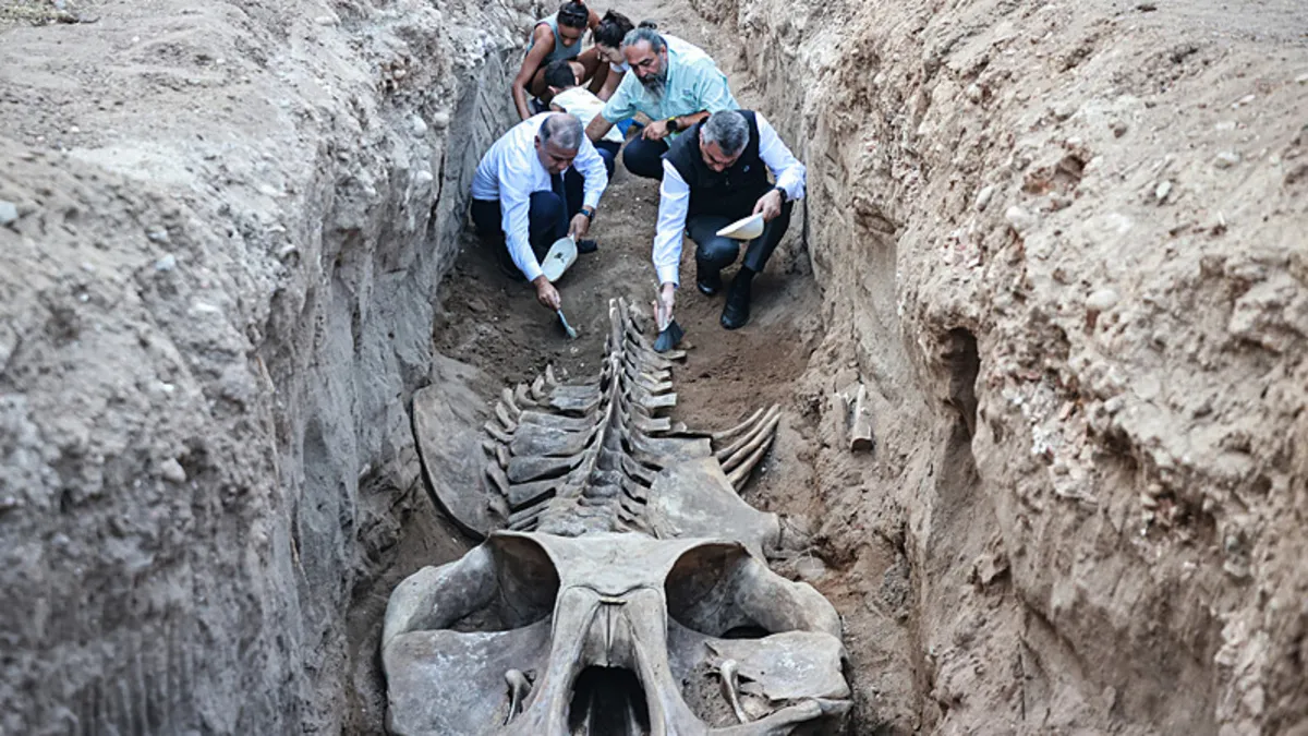 Mersin'de 4 yıl önce gömülmüştü! İskeleti topraktan çıkarılıyor