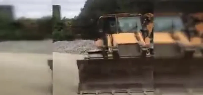 CHP'li İBB, Hacıosman Korusu'nda çevre katliamı yaptı