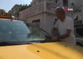 Direksiyon başında 45 yıl sıfır ceza