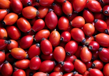 Faydalarını duyunca bardak bardak içeceksiniz! Kilo vermeyi hızlandırıyor...