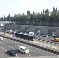 CHPli İBBnin skandal peyzaj kararına sert tepki