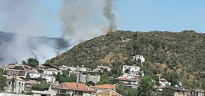 Son dakika: Milas’ta yerleşim yerleri yakınında orman yangını