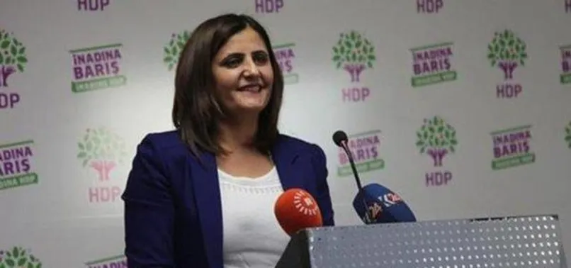 Dirayet Dilan vekil değil militan! İşte Dirayet Dilan Taşdemir gerçekleri