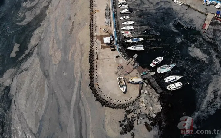 İstanbul’da deniz salyası müsilaj kabusu sürüyor! Suadiye Sahili havadan görüntülendi
