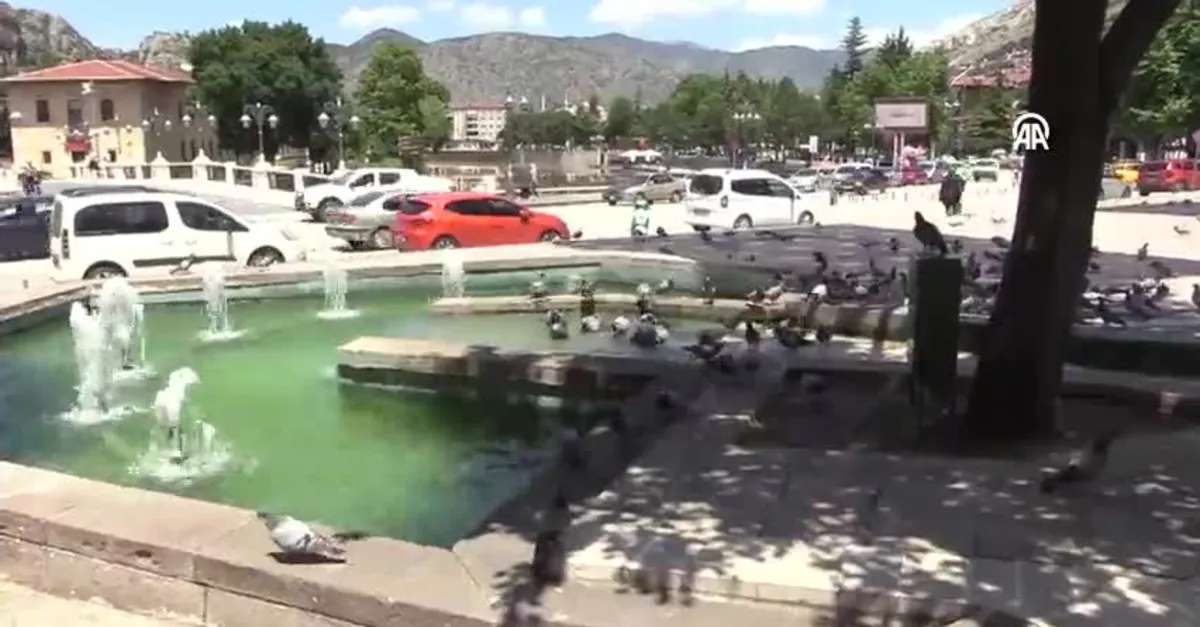 Sıcaktan bunalan güvercinler süs havuzunda serinledi