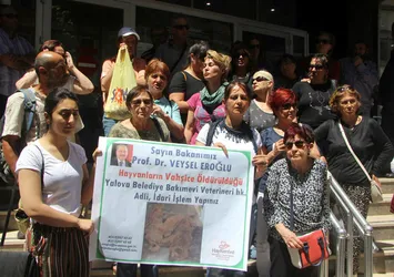 CHP’li Yalova Belediyesi'ne barınakta katliam cezası